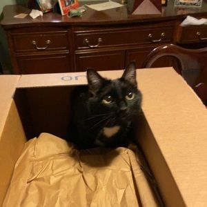 Meet your Posher, Mary